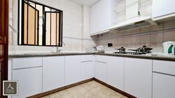 Dover Parkview (D5), Condominium #517644521